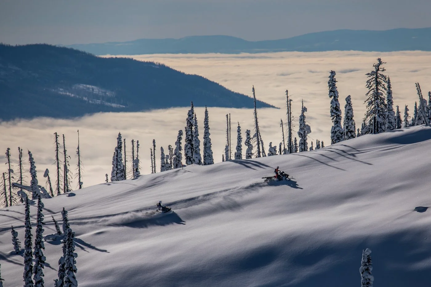Skier spraying powder turn with sun flare through trees