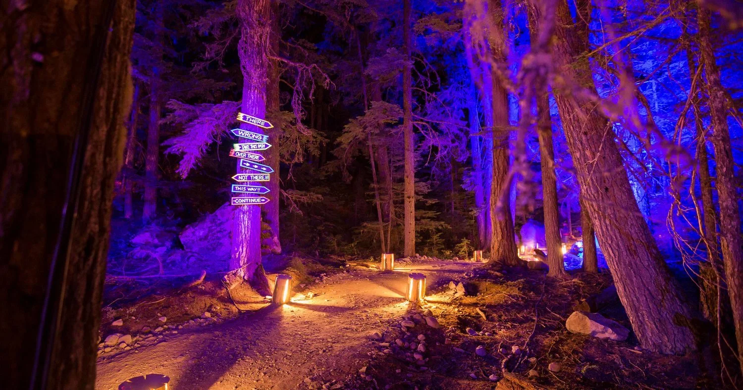 Visitors walking through glowing light tunnel in Whistler forest