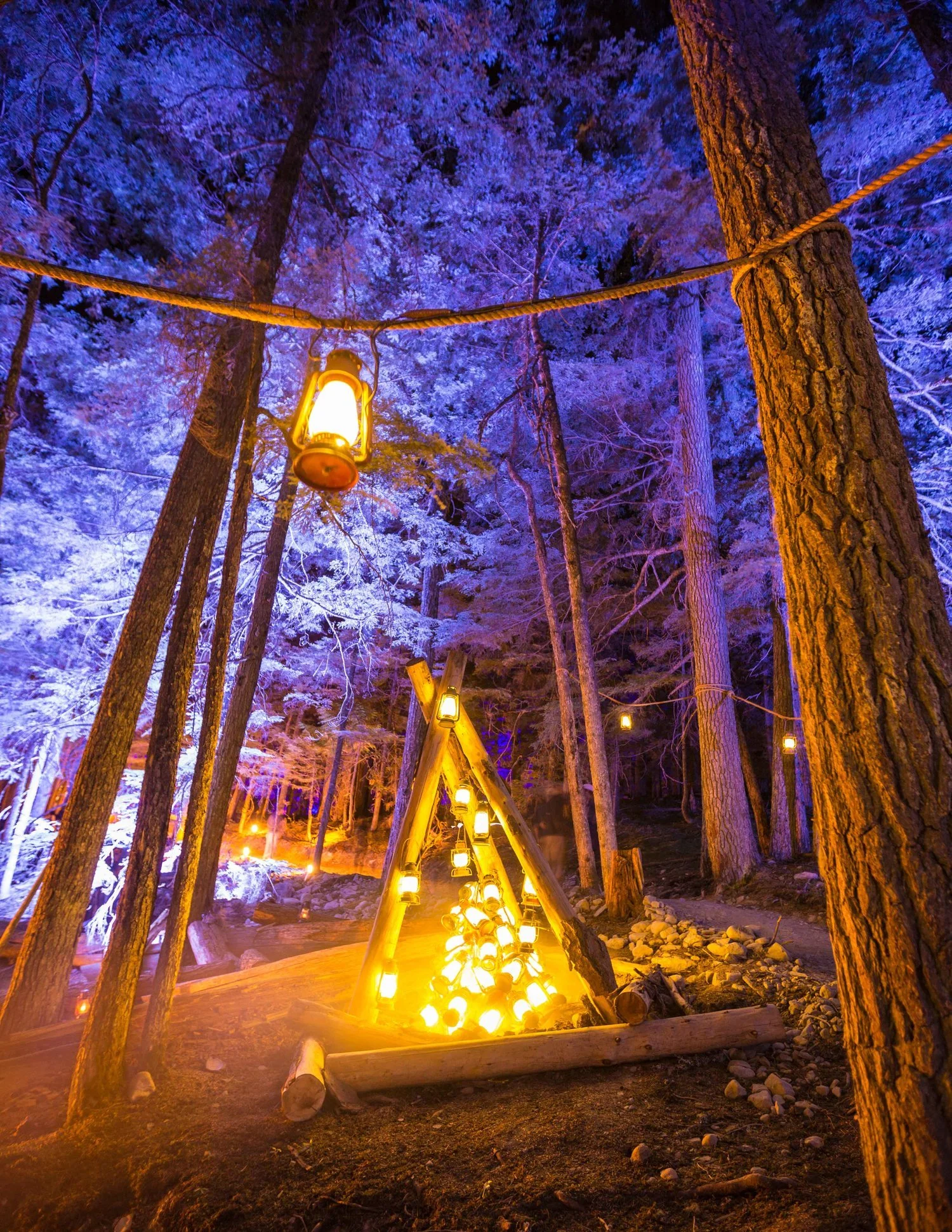 Moment Factory interactive projection installation on ancient trees