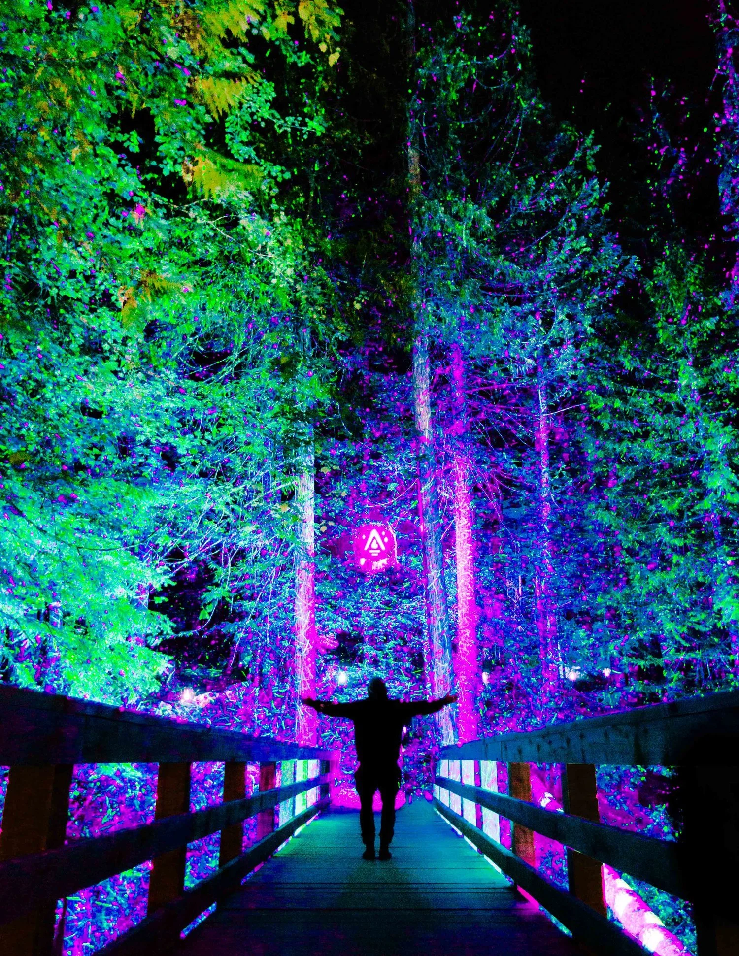 Starlit meadow with illuminated art installations at Vallea Lumina
