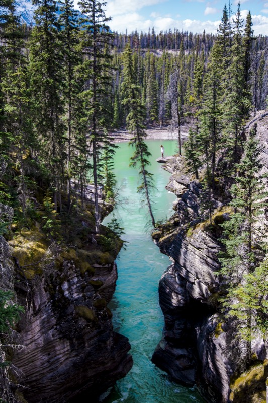 Athabasca River Canyon &mdash; stock photo by Jeremy Allen