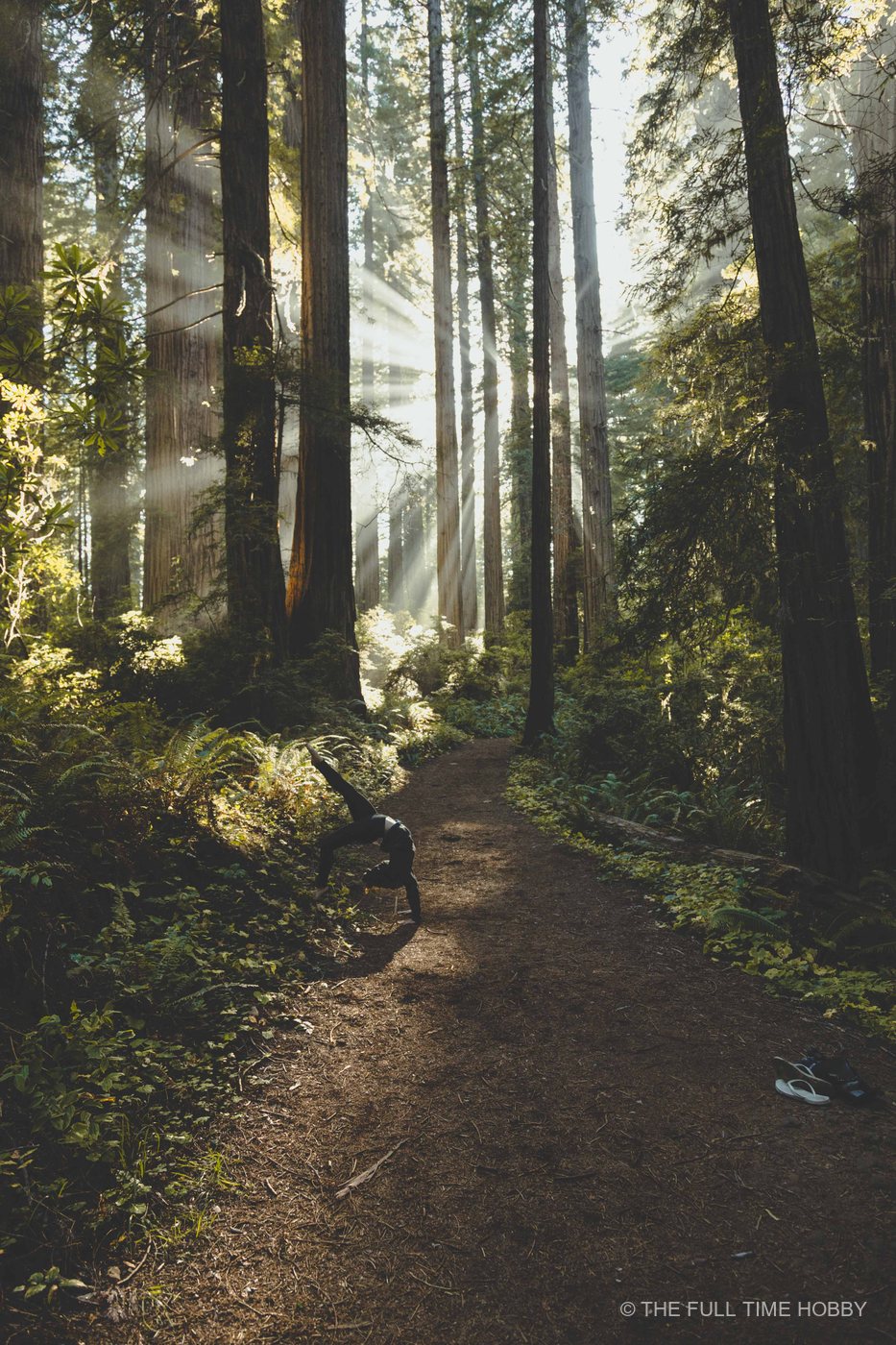 Backbend on a Sunlit Trail, Oregon Coast, Oregon