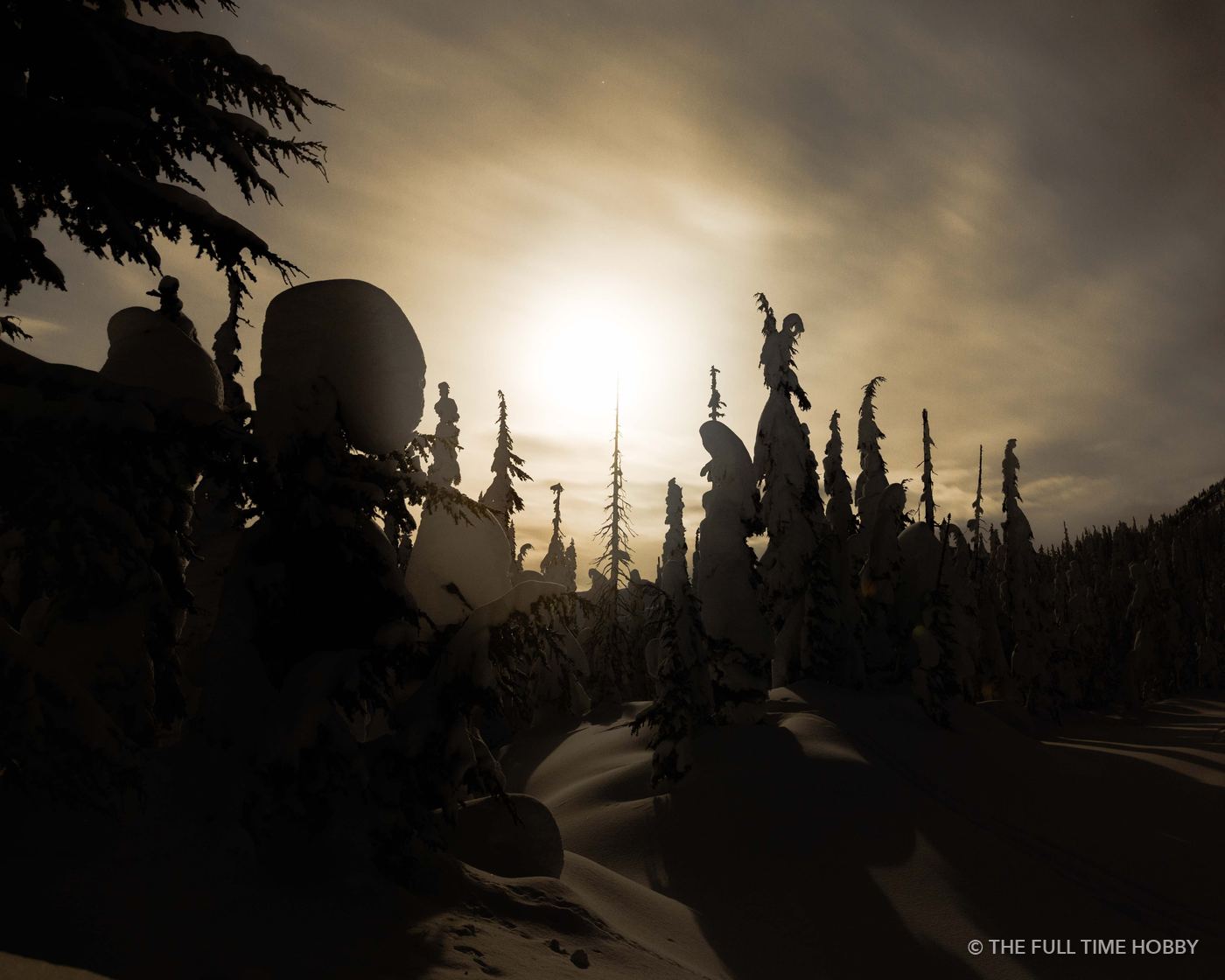 Forest Sunset Silhouette, Duffey Lake Provincial Park, BC