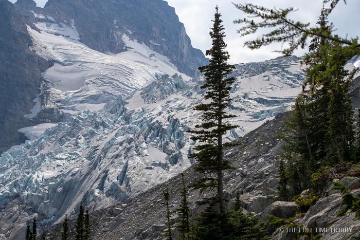 Glacier Through the Trees, Bugaboo Provincial Park, BC