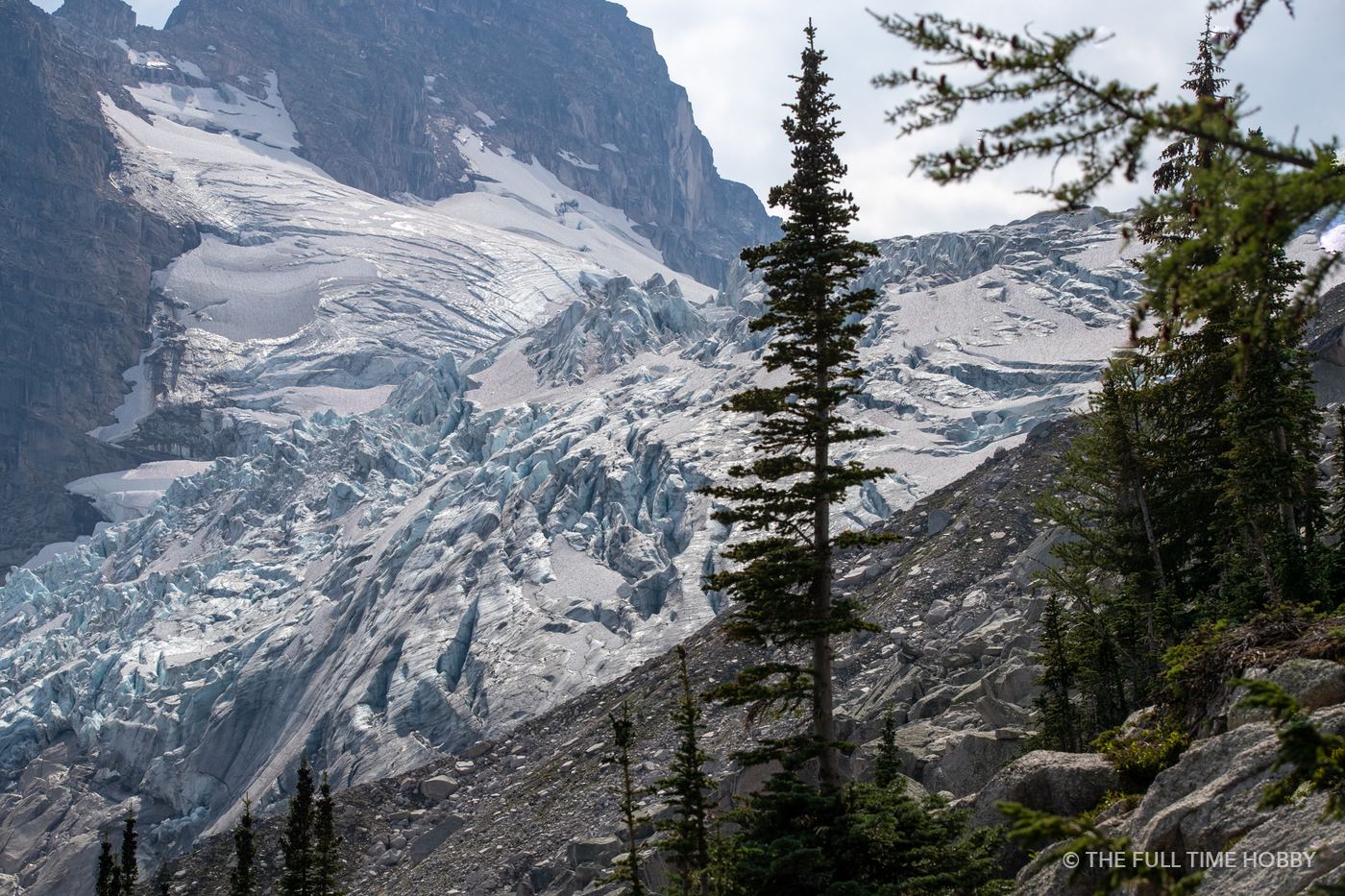 Glacier Through the Trees, Bugaboo Provincial Park, BC