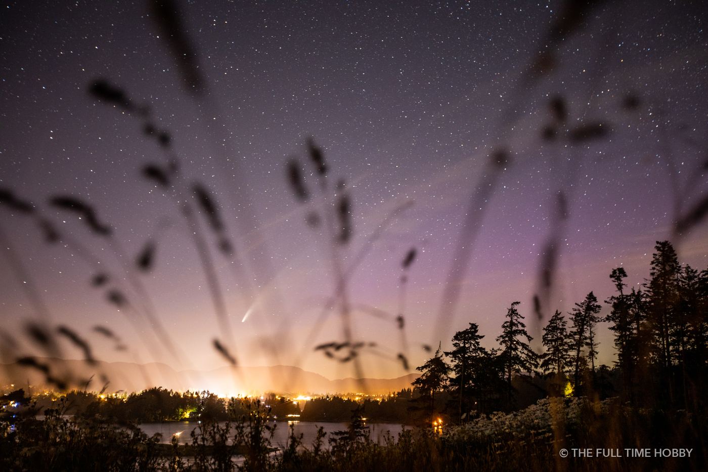 Grass and Sunset Glow, Sooke Potholes Provincial Park, Vancouver Island, BC
