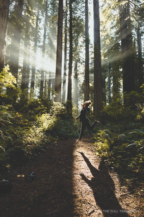 Leaping Through Forest Light, Oregon Coast, Oregon