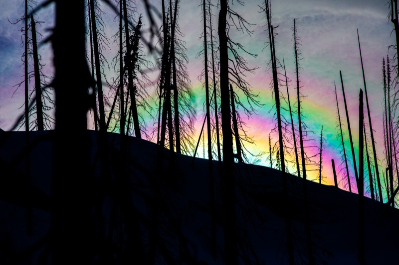 Rainbow Light Through a Burnt Forest &mdash; stock photo by Jeremy Allen