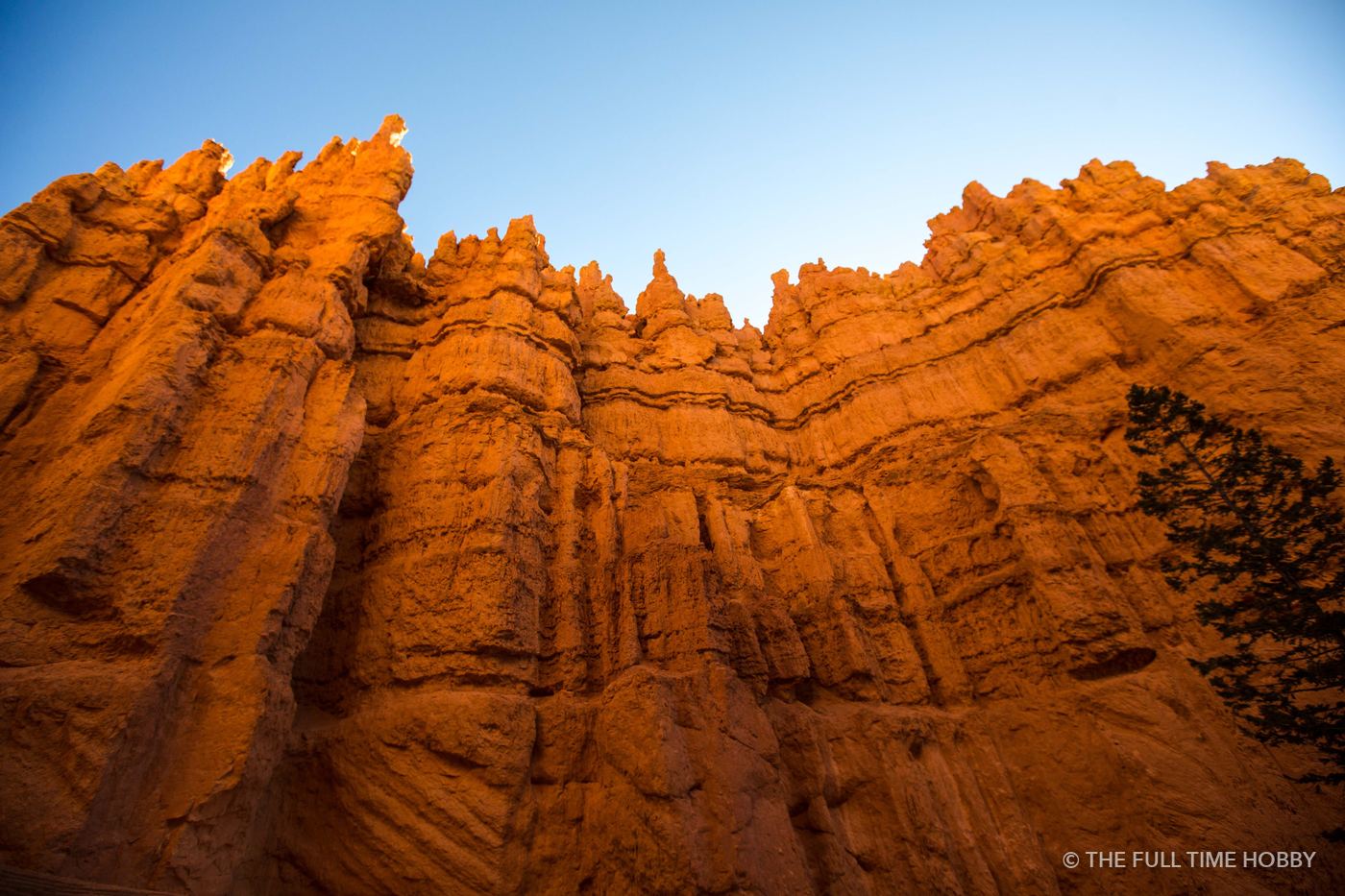 Red Rock Hoodoos, Zion National Park, Utah