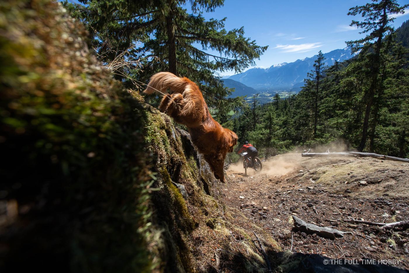 Rider in the Ferns, Whistler, Pemberton and Squamish, BC