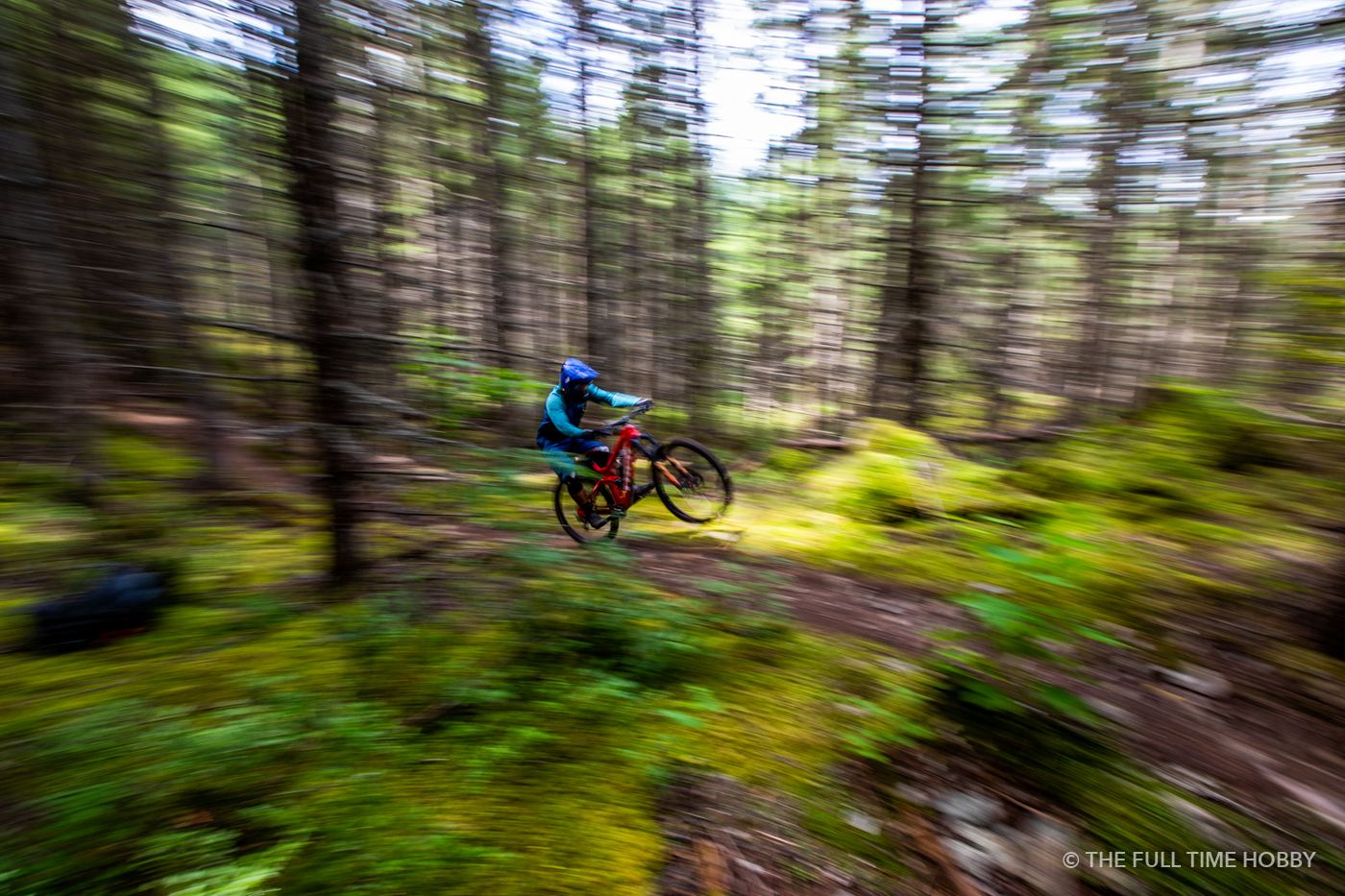 Rider Through the Pines, Whistler, BC