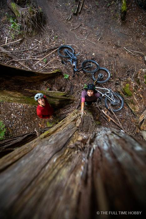Riders Climbing a Fallen Log, Whistler, Pemberton and Squamish, BC