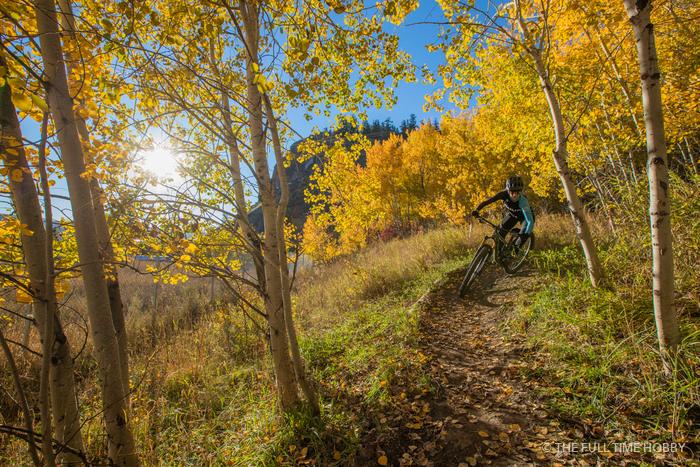 Riding Through Golden Aspens, Williams Lake and Lillooet, BC