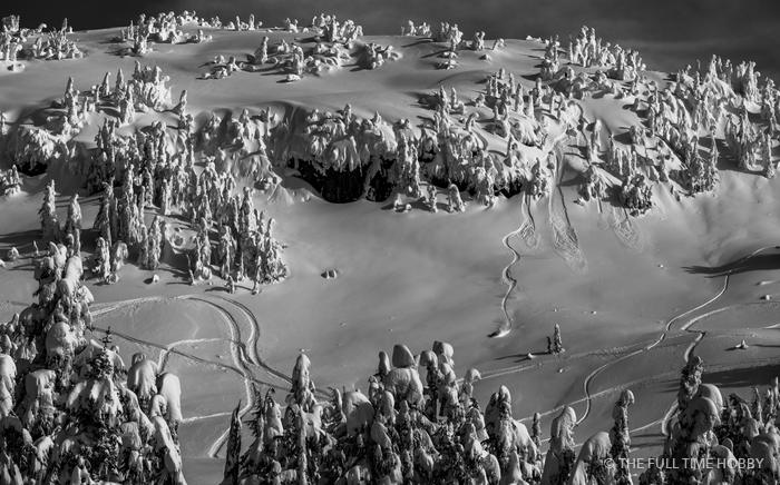 Rime Forest Plateau, Whistler area, BC