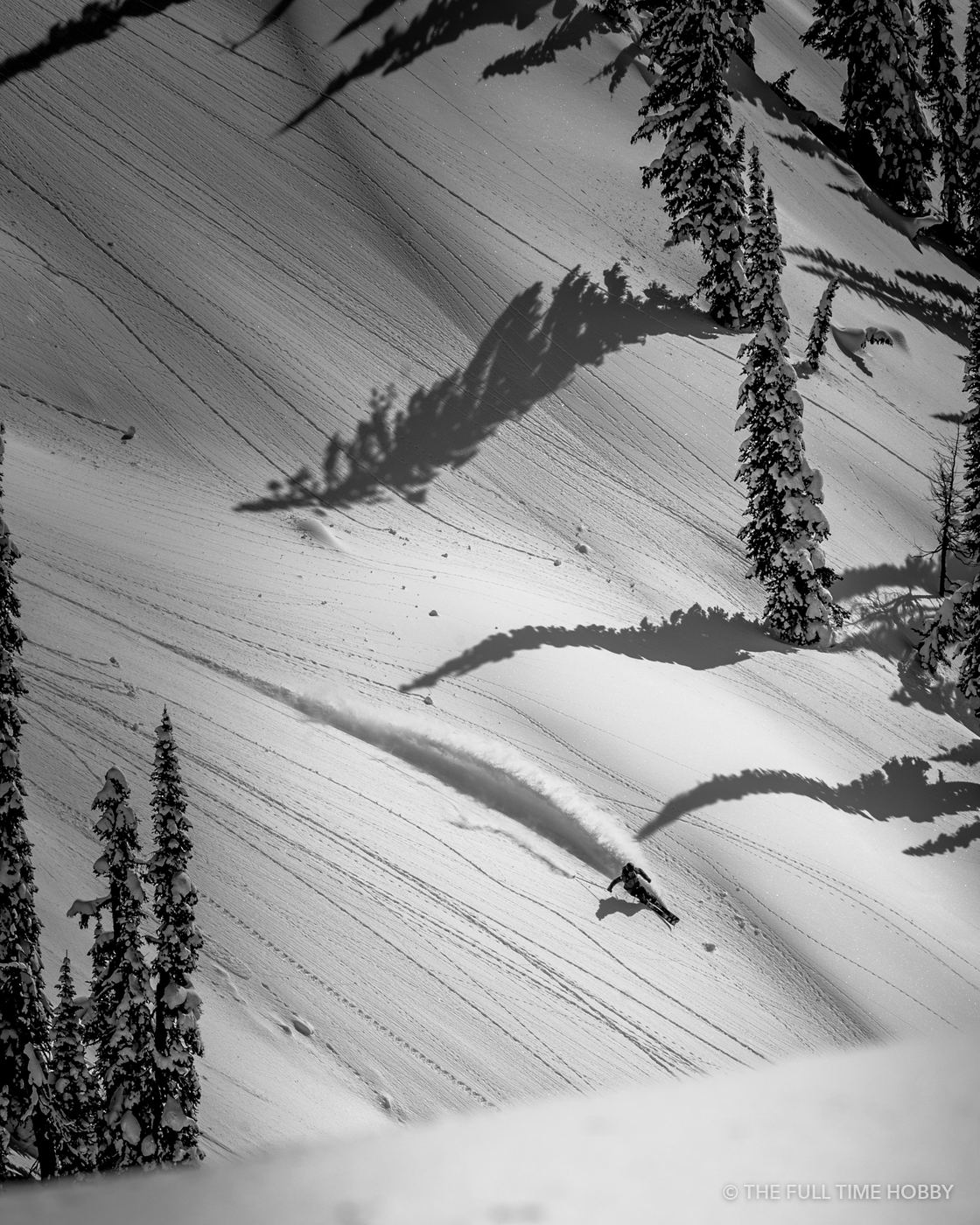 Skier Between the Trees, Stellar Heli Skiing, BC