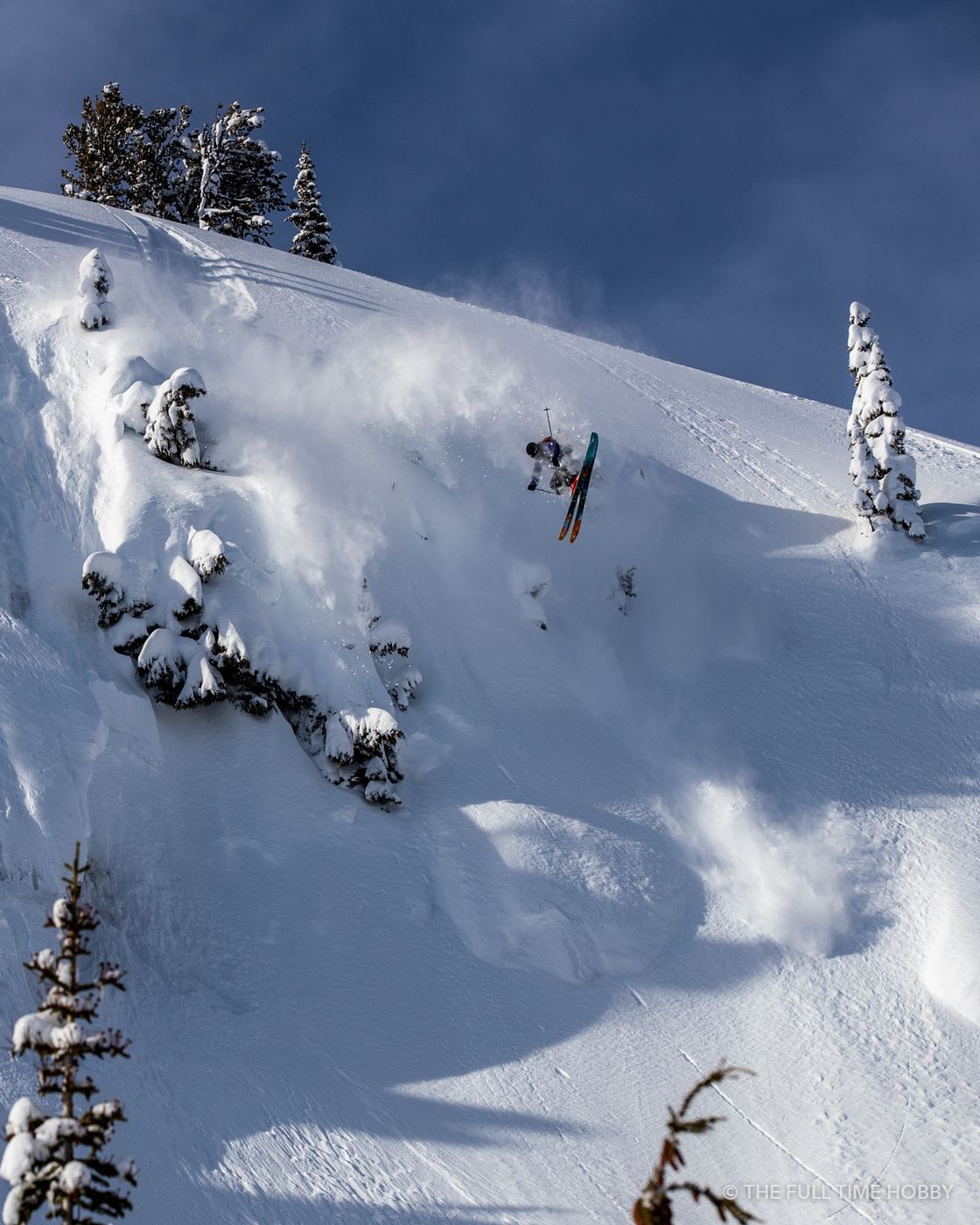 Skier in the Trees, Whistler area, BC