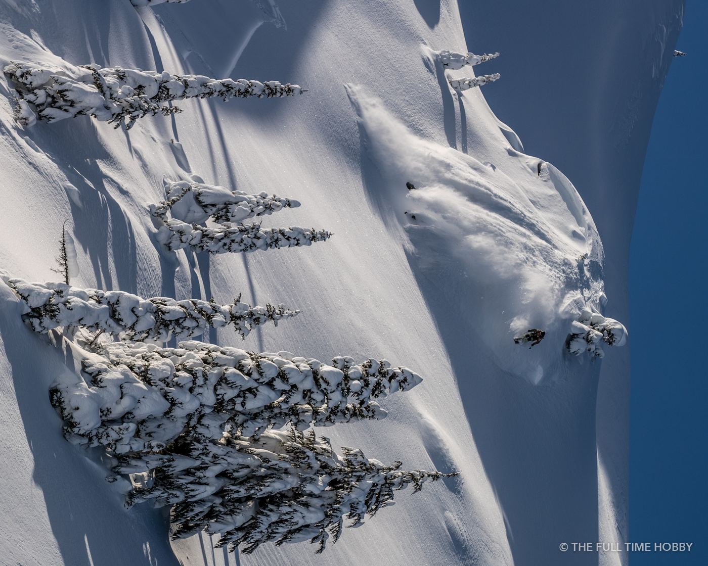 Snow-Frosted Trees From Above, Whistler area, BC