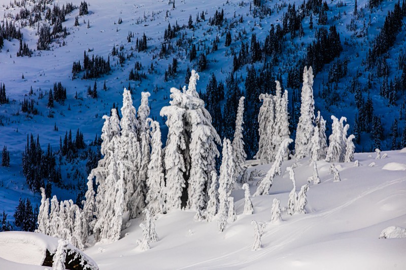 Snow Ghosts &mdash; stock photo by Jeremy Allen
