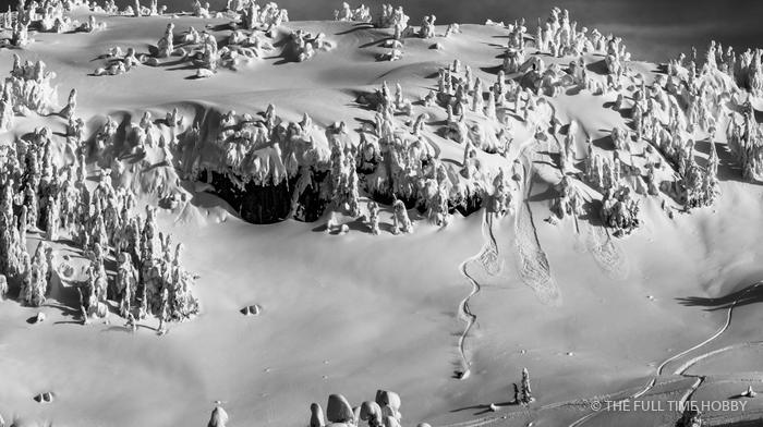 Snow Ghosts on the Plateau, Whistler area, BC