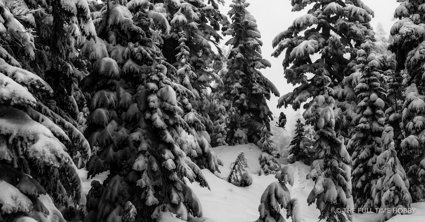 Snow-Loaded Forest, Whistler area, BC