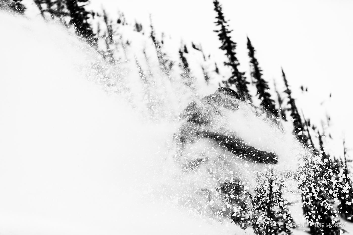Snow Spray in the Trees, Stellar Heli Skiing, BC
