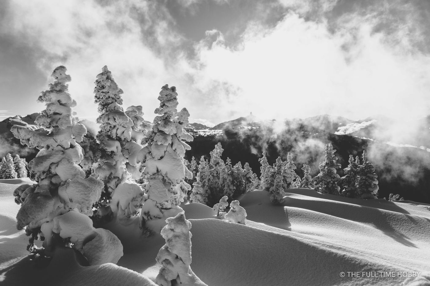 Snow-Plastered Trees, Whistler, BC