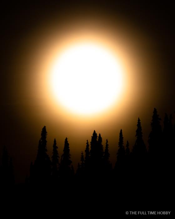 Sun Ring Over the Forest, Whistler, BC