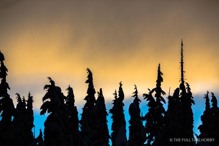 Tree Silhouettes at Sunset, Duffey Lake Provincial Park, BC