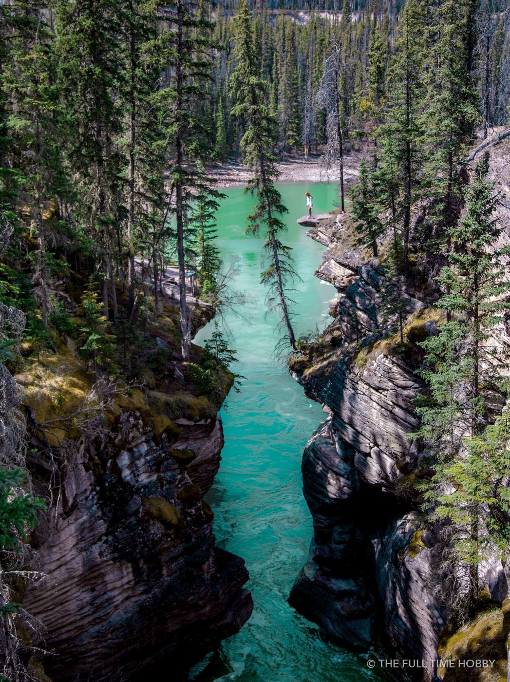 Turquoise River Canyon, Athabasca River, Jasper National Park, AB