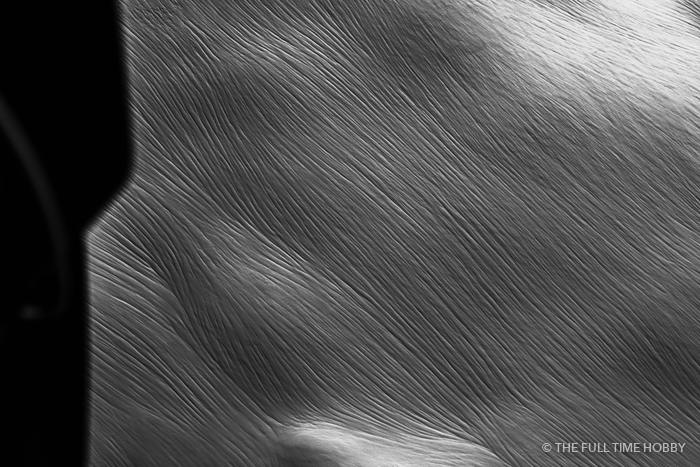 Wind-Carved Snow Texture, Alaska
